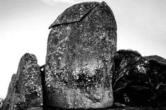 Black and white boulders in Kosciuszko Park