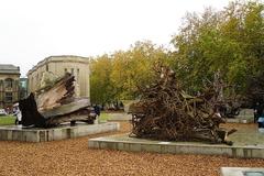 Ghost Forest art installation on museum lawn