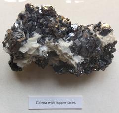 Galena with hopper faces at Oxford University Museum of Natural History