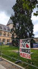 Pro-Palestine encampment at Oxford University Museum of Natural History on 23 June 2024