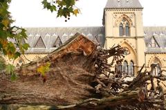 The Oxford University Museum of Natural History with Ghost Forest installation by Angela Palmer, March 2011