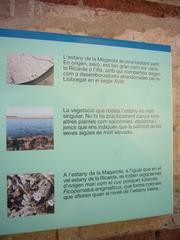 Info board of Estany de la Magarola in Semàfor at Espais naturals del riu Llobregat