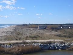 view of natural reserve of the Llobregat Delta with historic buildings