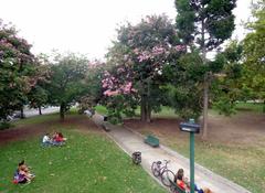 Plaza Mafalda in Colegiales, Buenos Aires, Argentina