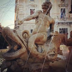 fish wrestling Sicilian style