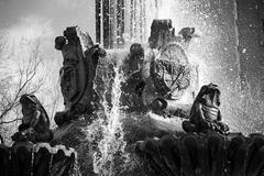 Fuente de las Ranas in Albacete