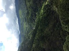 A still and serene landscape at Silent Valley with green grasses and hills under a clear blue sky