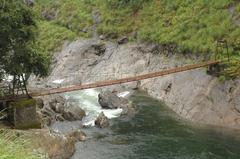 Bridge at the proposed dam site in Silent Valley National Park