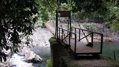 Silent Valley National Park Bridge