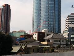 Cherry blossom tree in full bloom near recently demolished TOHO Cinema theater