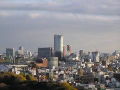 Roppongi Hills Mori Tower