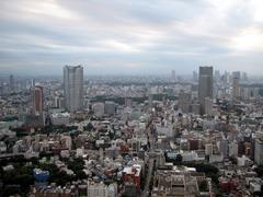 Roppongi area view from Tokyo Tower at dusk