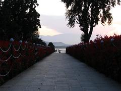 descending terraces of gardens merging with a lake in Srinagar, India