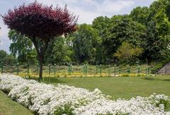 Nishat Bagh garden with snow-capped mountains in the background