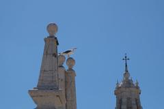 Igreja de São Vicente da Fora Church in Lisbon