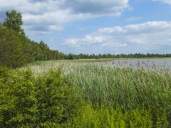 European bird reserve Heerter See, Salzgitter, Lower Saxony, Germany