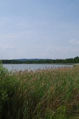 northern observation hut at Heerter See nature reserve