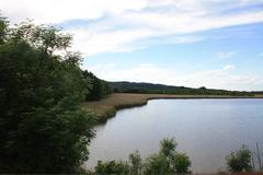 View from the south shore observation tower of the nature reserve Klärteich III near Salzgitter-Heerte