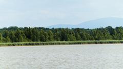 Heerter See bird sanctuary with observation stand in Germany