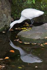 Jardín Kōrakuen De Koishikawa