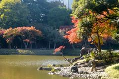 Fall leaves in Koishikawa Korakuen garden