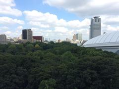 view from northern residences of Court Resident Tower