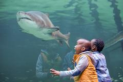 ragged-tooth shark at Two Oceans Aquarium with two kids watching