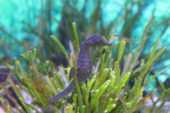 Two Oceans Aquarium in Cape Town South Africa