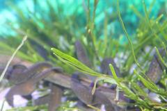 Two Oceans Aquarium in Capetown, South Africa