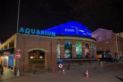 Underwater tunnel at Two Oceans Aquarium