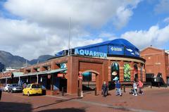 Two Oceans Aquarium in Cape Town, late morning view