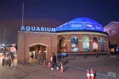 Two Oceans Aquarium in Cape Town