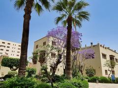 Grounds of the Coptic Museum in Old Cairo