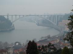 Arrábida Bridge on a winter afternoon