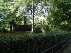 historical fortification building with overgrown vegetation