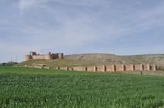 Scenic view of Berlanga de Duero with historic buildings and cloudy sky