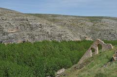 Berlanga de Duero castle with surrounding landscape