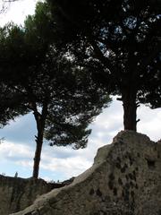 Ercolano archaeological site ruins 2012