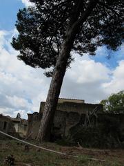 view of archaeological ruins in Ercolano