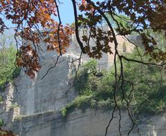 Ruins of the Löffelstelz castle in Mühlacker