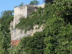 Burg Löffelstelz Dürrmenz Enzblick