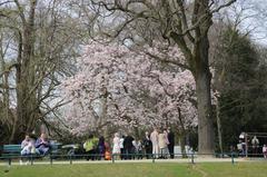 Spring in Dusseldorf near Ko Bogen