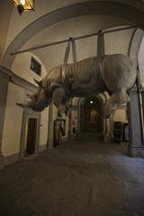 Entrance to the Zoological Museum of Florence with suspended rhino exhibit