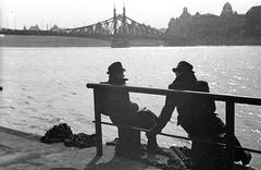 Belgrád (Ferenc József) rakpart at the international ship station with Liberty Bridge in the background.