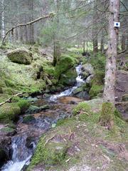 Cascade de Mérelle in Gérardmer, Vosges