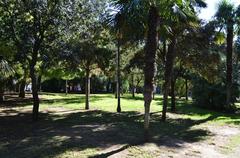 Parc de l'Oest in Valencia with a small hill