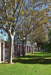 Fence and trees in West Park, Valencia