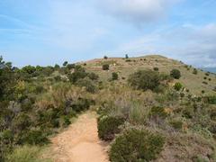 view of the Visigothic castle Castrum of Roses