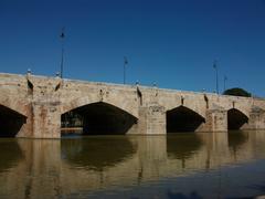 Pont de la Mar in Valencia