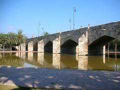 Pont de la Mar bridge in Valencia